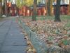 Filename=617.jpg
Filesize=67KB
Dimensions=600x450
Date added=Oct 10, 2007 617.jpg